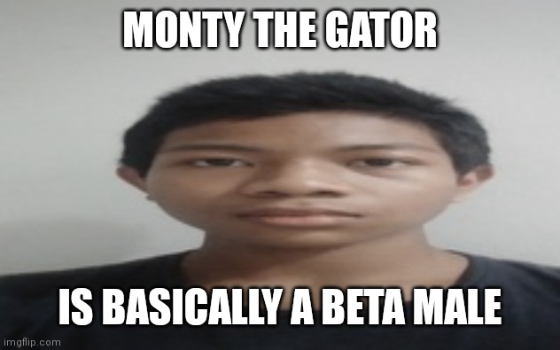 Akif | MONTY THE GATOR; IS BASICALLY A BETA MALE | image tagged in akif | made w/ Imgflip meme maker