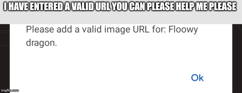 I HAVE ENTERED A VALID URL YOU CAN PLEASE HELP ME PLEASE | made w/ Imgflip meme maker