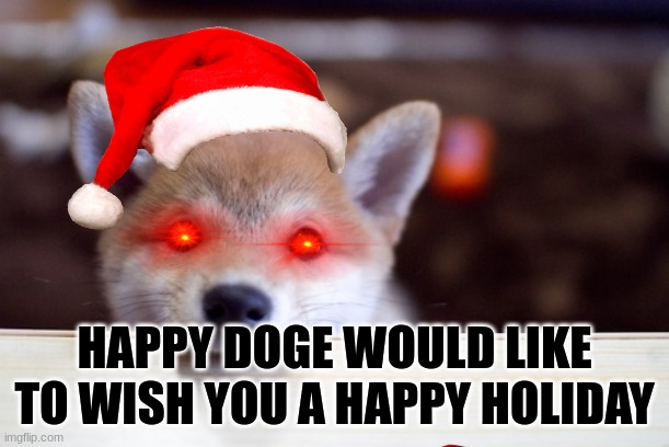 I know its kinda late but who cares | HAPPY DOGE WOULD LIKE TO WISH YOU A HAPPY HOLIDAY | image tagged in cute dog | made w/ Imgflip meme maker