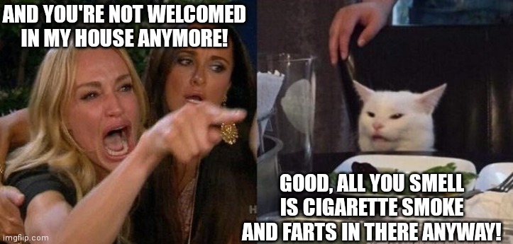 Smudge | AND YOU'RE NOT WELCOMED IN MY HOUSE ANYMORE! GOOD, ALL YOU SMELL IS CIGARETTE SMOKE AND FARTS IN THERE ANYWAY! | image tagged in woman yelling at smudge the cat | made w/ Imgflip meme maker