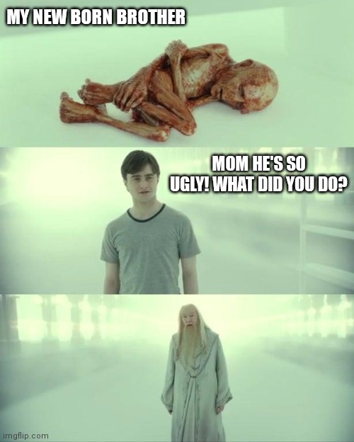 Newborns | MY NEW BORN BROTHER; MOM HE'S SO UGLY! WHAT DID YOU DO? | image tagged in dead baby voldemort / what happened to him | made w/ Imgflip meme maker