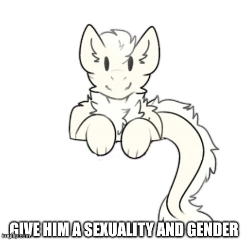 Fluffy dragon | GIVE HIM A SEXUALITY AND GENDER | image tagged in fluffy dragon | made w/ Imgflip meme maker