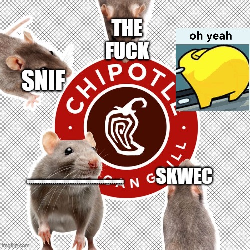 rats taking over Chipotle | SKWEC SNIF UUUUUUUUUUUUUUUUUUUUUUUUUUUUUUUUUUUUUUUUUUUU THE FUCK | image tagged in rats taking over chipotle | made w/ Imgflip meme maker