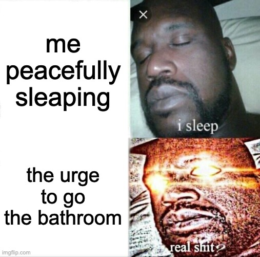dumb joke | me peacefully sleaping; the urge to go the bathroom | image tagged in memes,sleeping shaq | made w/ Imgflip meme maker