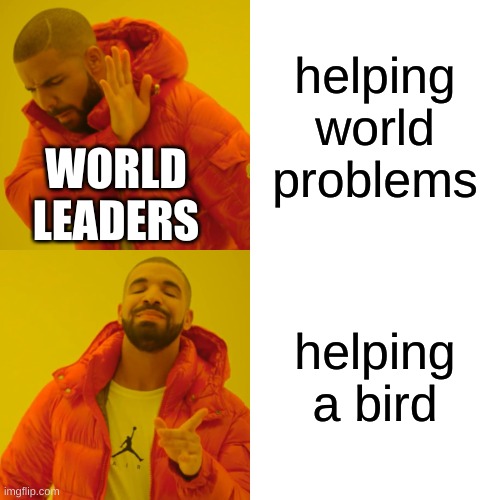 Drake Hotline Bling | helping world problems; WORLD LEADERS; helping a bird | image tagged in memes,drake hotline bling | made w/ Imgflip meme maker