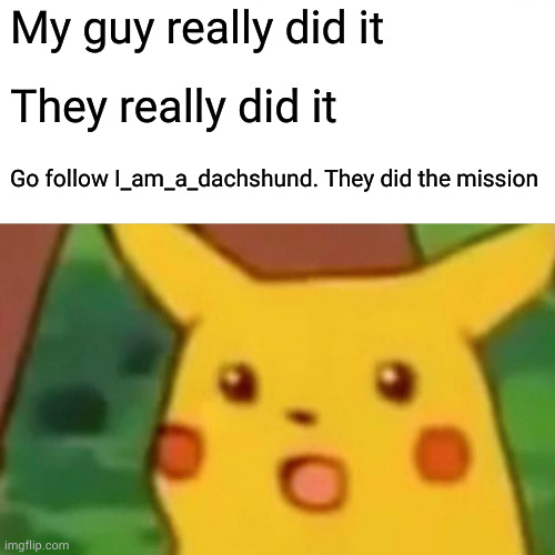 I said I would | My guy really did it; They really did it; Go follow I_am_a_dachshund. They did the mission | image tagged in memes,surprised pikachu | made w/ Imgflip meme maker