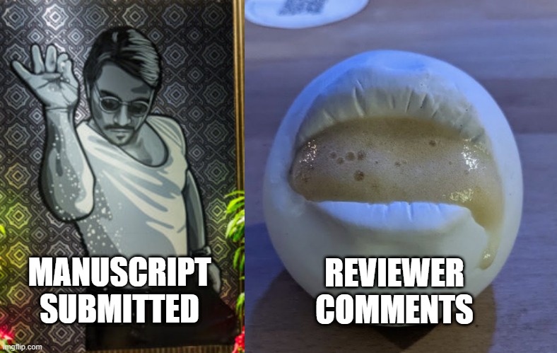 What I thought What I got | REVIEWER COMMENTS; MANUSCRIPT SUBMITTED | image tagged in what i thought what i got,mouth foam | made w/ Imgflip meme maker
