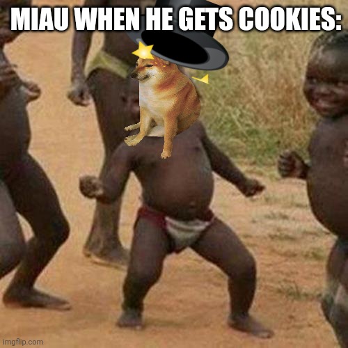 Third World Success Kid | MIAU WHEN HE GETS COOKIES: | image tagged in memes,third world success kid | made w/ Imgflip meme maker