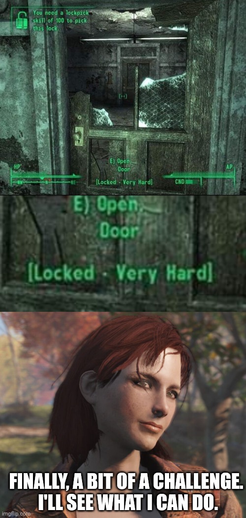CAIT CAN PROBABLY OPEN THAT LOCK |  FINALLY, A BIT OF A CHALLENGE.
 I'LL SEE WHAT I CAN DO. | image tagged in fallout 4,lock,fail,fallout,ps4 | made w/ Imgflip meme maker