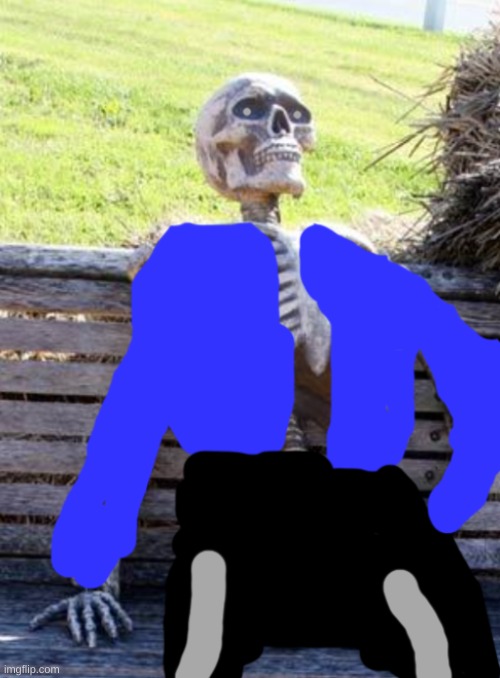 Sans in real life | image tagged in sans in real life | made w/ Imgflip meme maker