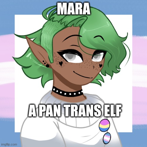 omg of my ocs | MARA; A PAN TRANS ELF | image tagged in oc,lgbtq,transgender | made w/ Imgflip meme maker
