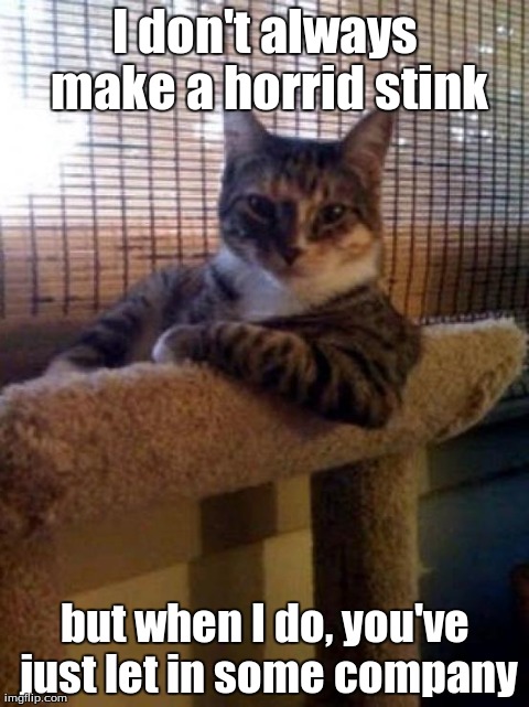 The Most Interesting Cat In The World | I don't always make a horrid stink but when I do, you've just let in some company | image tagged in memes,the most interesting cat in the world | made w/ Imgflip meme maker