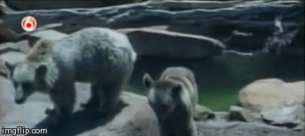 Not in the mood | image tagged in gifs | made w/ Imgflip video-to-gif maker