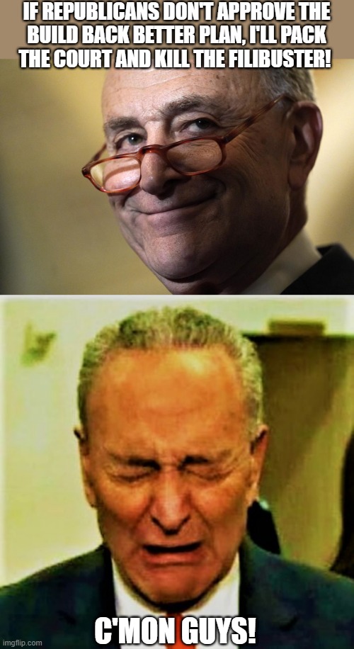 Schumer smiling, Schumer crying | IF REPUBLICANS DON'T APPROVE THE
BUILD BACK BETTER PLAN, I'LL PACK
THE COURT AND KILL THE FILIBUSTER! C'MON GUYS! | image tagged in schumer smiling,schumer crying,political humor,build back better,filibuster,republicans | made w/ Imgflip meme maker
