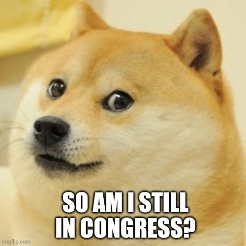 Doge | SO AM I STILL IN CONGRESS? | image tagged in memes,doge | made w/ Imgflip meme maker