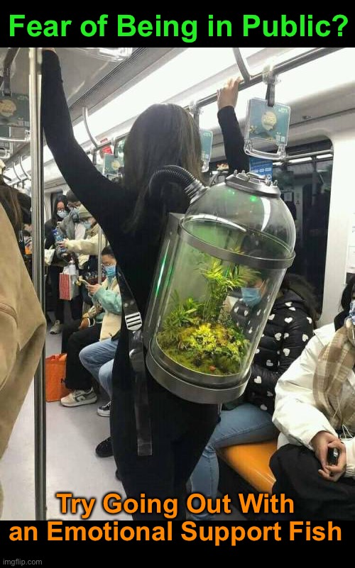 Seems a Little Fishy… | Fear of Being in Public? Try Going Out With an Emotional Support Fish | image tagged in funny memes,anxiety,emotional support | made w/ Imgflip meme maker