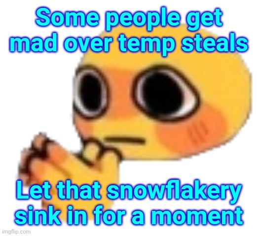 Bruh | Some people get mad over temp steals; Let that snowflakery sink in for a moment | image tagged in bruh | made w/ Imgflip meme maker