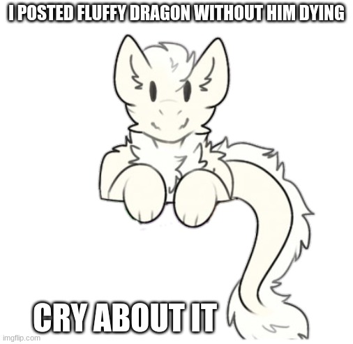 he cute (mod note: waa waa i’m so sad waa i’m gonna cry because of a fluffy retard aaaaa) | I POSTED FLUFFY DRAGON WITHOUT HIM DYING; CRY ABOUT IT | image tagged in fluffy dragon | made w/ Imgflip meme maker