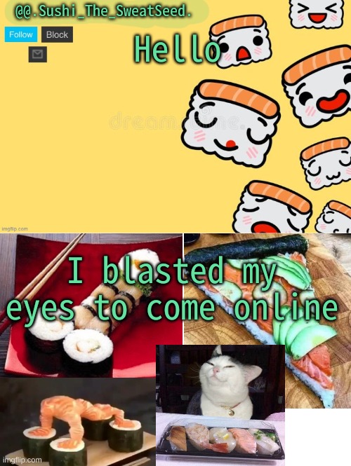 MY EYEEEEEEEEEEEEEEEEEEEEEEEEEEEEEEEEES | Hello; I blasted my eyes to come online | image tagged in sushi_the_sweatseed,my eyes | made w/ Imgflip meme maker