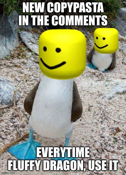 IGNORE THIS, MONTY. THIS MEANS NOTHING TO YOUR CONCERN. | NEW COPYPASTA IN THE COMMENTS; EVERYTIME FLUFFY DRAGON, USE IT | image tagged in noobie boobie | made w/ Imgflip meme maker