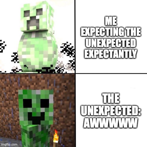 Title | ME EXPECTING THE UNEXPECTED EXPECTANTLY; THE UNEXPECTED: AWWWWW | image tagged in creeper,i have no more patience | made w/ Imgflip meme maker