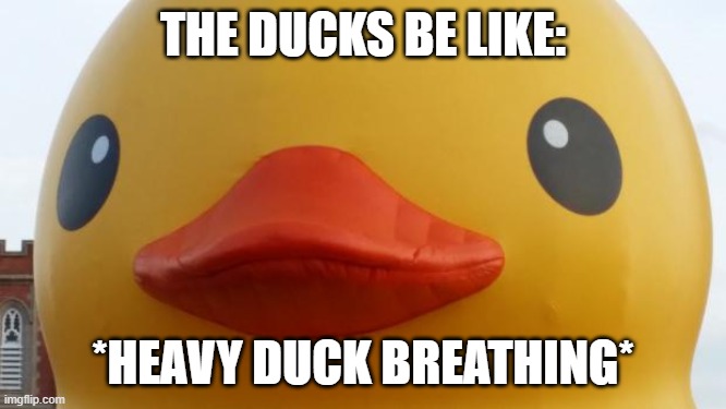 That Rubber Duck | THE DUCKS BE LIKE: *HEAVY DUCK BREATHING* | image tagged in that rubber duck | made w/ Imgflip meme maker