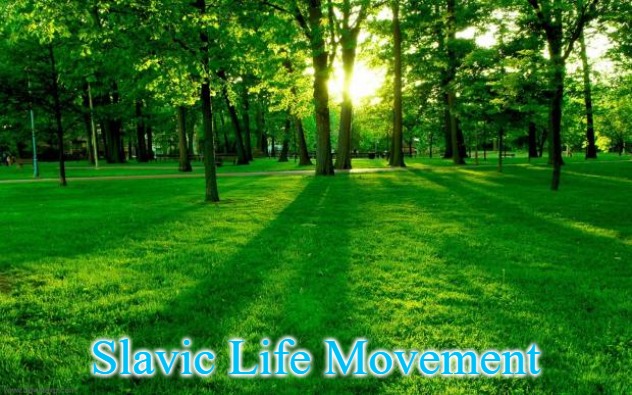 Grass and trees | Slavic Life Movement | image tagged in grass and trees,slavic life movement | made w/ Imgflip meme maker