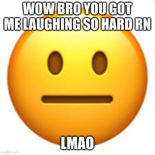 Not funny | WOW BRO YOU GOT ME LAUGHING SO HARD RN LMAO | image tagged in not funny | made w/ Imgflip meme maker