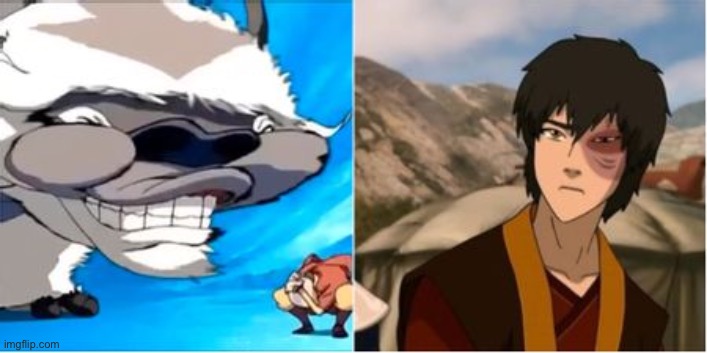 Just made a new template | image tagged in avatar appa and zuko | made w/ Imgflip meme maker
