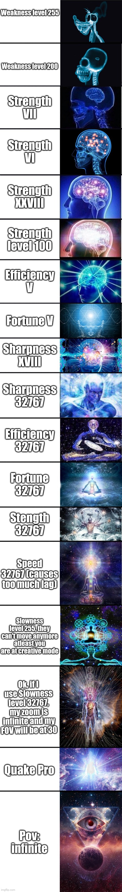Which level of effects are you? | Weakness level 255; Weakness level 200; Strength VII; Strength VI; Strength XXVIII; Strength level 100; Efficiency V; Fortune V; Sharpness XVIII; Sharpness 32767; Efficiency 32767; Fortune 32767; Stength 32767; Speed 32767 (causes too much lag); Slowness level 255, they can't move anymore atleast you are at creative mode; Ok, if I use Slowness level 32767, my zoom is infinite and my FOV will be at 30; Quake Pro; Pov: infinite | image tagged in expanding brain 9001 | made w/ Imgflip meme maker