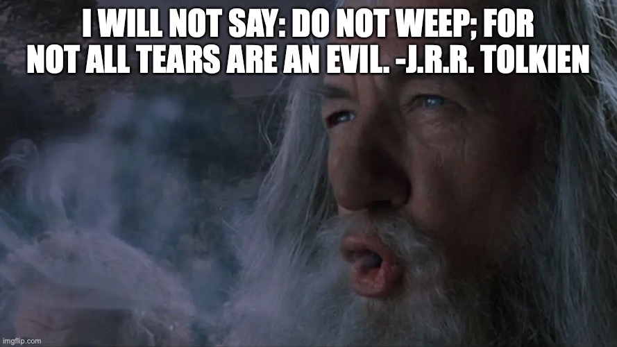 Gandalf smoking | I WILL NOT SAY: DO NOT WEEP; FOR NOT ALL TEARS ARE AN EVIL. -J.R.R. TOLKIEN | image tagged in gandalf | made w/ Imgflip meme maker