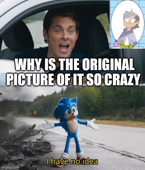 Sonic I have no idea | WHY IS THE ORIGINAL PICTURE OF IT SO CRAZY | image tagged in sonic i have no idea | made w/ Imgflip meme maker