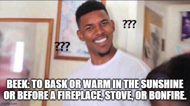 Black guy confused | BEEK: TO BASK OR WARM IN THE SUNSHINE OR BEFORE A FIREPLACE, STOVE, OR BONFIRE. | image tagged in black guy confused | made w/ Imgflip meme maker