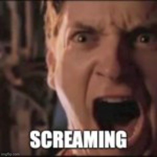 image tagged in peter parker scream | made w/ Imgflip meme maker