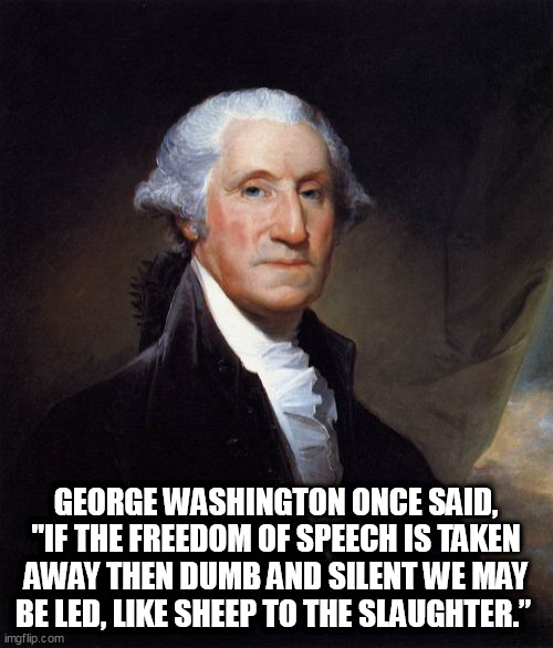 George Washington Meme | GEORGE WASHINGTON ONCE SAID, "IF THE FREEDOM OF SPEECH IS TAKEN AWAY THEN DUMB AND SILENT WE MAY BE LED, LIKE SHEEP TO THE SLAUGHTER.” | image tagged in memes,george washington | made w/ Imgflip meme maker