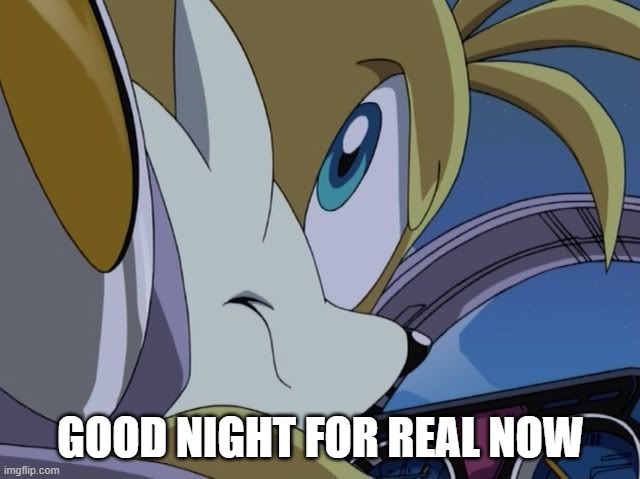 Mad tails | GOOD NIGHT FOR REAL NOW | image tagged in mad tails | made w/ Imgflip meme maker