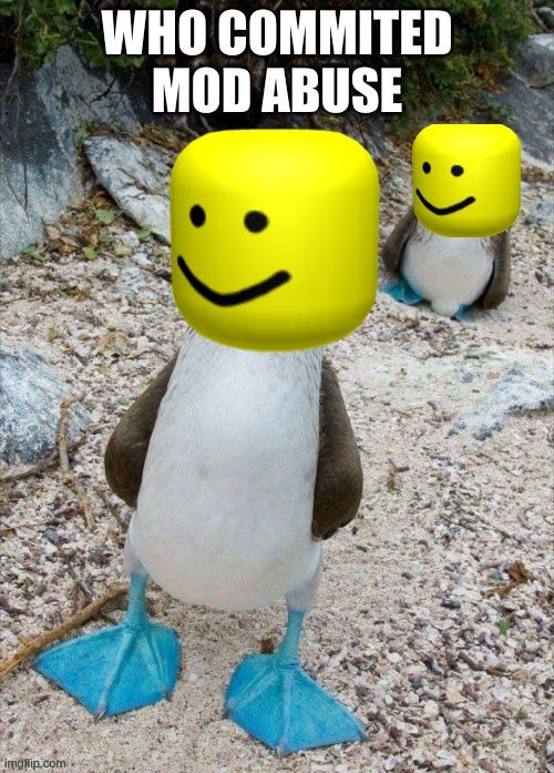 sugoma dik | WHO COMMITED MOD ABUSE | image tagged in noobie boobie | made w/ Imgflip meme maker