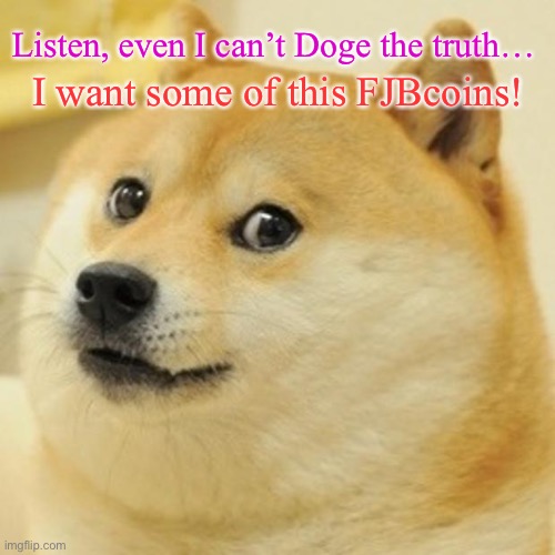 FJB Coins | Listen, even I can’t Doge the truth…; I want some of this FJBcoins! | image tagged in memes,doge | made w/ Imgflip meme maker