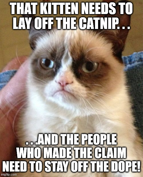 Grumpy Cat Meme | THAT KITTEN NEEDS TO LAY OFF THE CATNIP. . . . . .AND THE PEOPLE WHO MADE THE CLAIM NEED TO STAY OFF THE DOPE! | image tagged in memes,grumpy cat | made w/ Imgflip meme maker