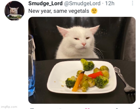 Haha, love you smudge | image tagged in smudge the cat,vegetables,cat at dinner,i love you,smudge,why are you reading this | made w/ Imgflip meme maker