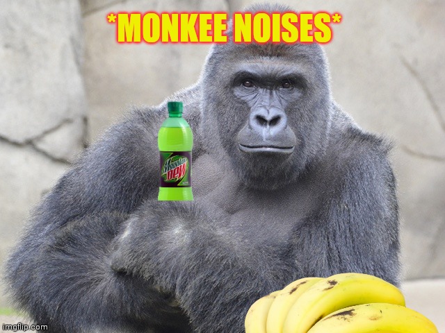 harambe | *MONKEE NOISES* | image tagged in harambe | made w/ Imgflip meme maker