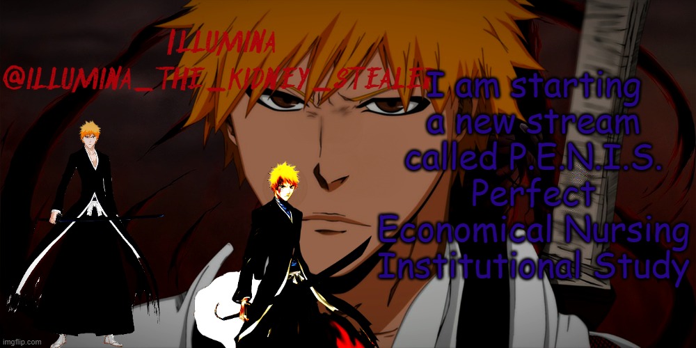 illumina ichigo temp | I am starting a new stream called P.E.N.I.S.
Perfect Economical Nursing Institutional Study | image tagged in illumina ichigo temp | made w/ Imgflip meme maker