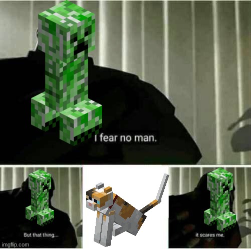 creeper is afraid of cat | image tagged in it scares me | made w/ Imgflip meme maker