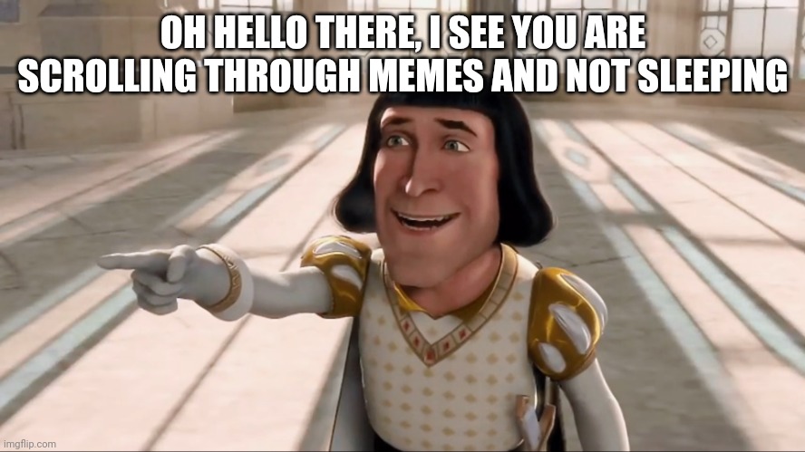 you need sleep you can scroll through memes tomorrow lol | OH HELLO THERE, I SEE YOU ARE SCROLLING THROUGH MEMES AND NOT SLEEPING | image tagged in farquaad pointing | made w/ Imgflip meme maker