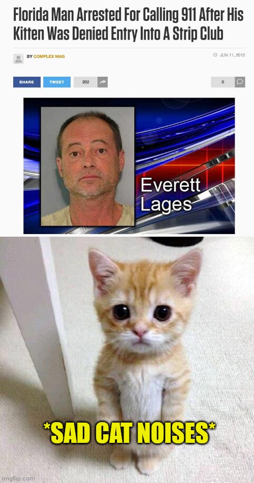 Florida cat problems | *SAD CAT NOISES* | image tagged in memes,cute cat,florida man,cat,its time to stop | made w/ Imgflip meme maker