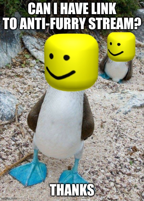 plz | CAN I HAVE LINK TO ANTI-FURRY STREAM? THANKS | image tagged in noobie boobie | made w/ Imgflip meme maker