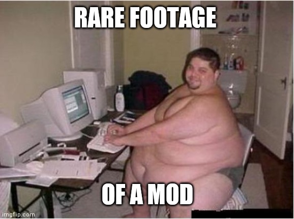 Dan dan dan |  RARE FOOTAGE; OF A MOD | image tagged in really fat guy on computer,oh,mod | made w/ Imgflip meme maker
