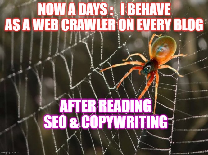Spider On The Web | NOW A DAYS :   I BEHAVE AS A WEB CRAWLER ON EVERY BLOG; AFTER READING SEO & COPYWRITING | image tagged in spider on the web | made w/ Imgflip meme maker