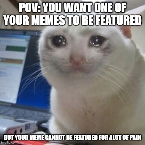 Crying cat | POV: YOU WANT ONE OF YOUR MEMES TO BE FEATURED; BUT YOUR MEME CANNOT BE FEATURED FOR ALOT OF PAIN | image tagged in crying cat,pain,relate | made w/ Imgflip meme maker