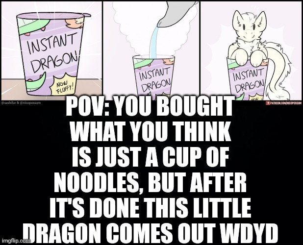 POV: YOU BOUGHT WHAT YOU THINK IS JUST A CUP OF NOODLES, BUT AFTER IT'S DONE THIS LITTLE DRAGON COMES OUT WDYD | image tagged in instant dragon now fluffy,black background | made w/ Imgflip meme maker